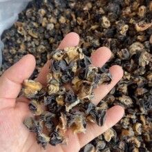 �ݪ{��ɕ���������ȫ������·��ԭ���ݽz�����r���������ݽz��