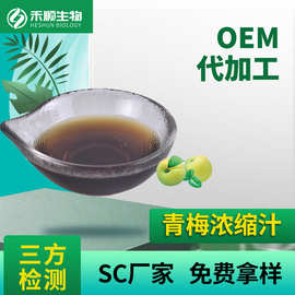 青梅浓缩汁 BX50 鲜果压榨 果汁果酒 现货供应 青梅浓缩清汁