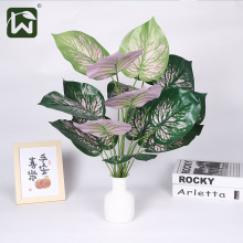 ˹~ާ~Gֲ쾰bGֲ쾰b