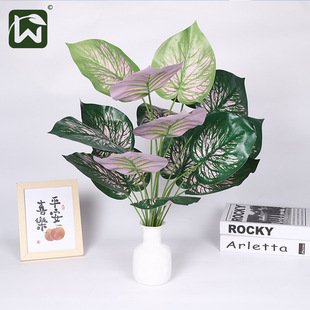 ��˹�~ާ�~�G��ֲ�������쾰�b����Gֲ���������滨����