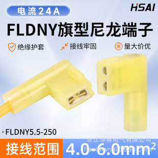 �羳���l6.3�������ȫ�^������ĸ����FLDNY5.5-250�Sɫ��ȼL����