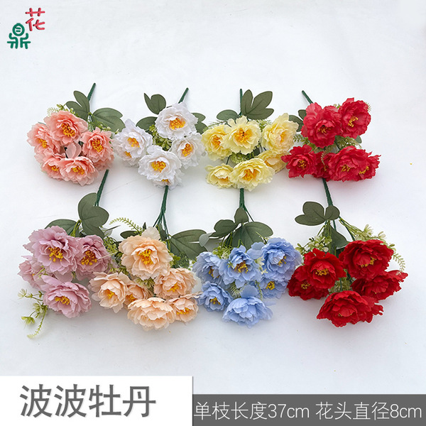 6 Bobo Peony puts the pine pine chrysanthemum commercial beauty Chen…