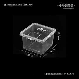 跨境人渣盒爬虫箱螳螂跳蛛养蚕饲养盒爬行动物睫角寄居蟹