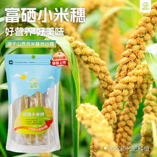 �W�^С��2024���� �W�^��ʳС�Թ���