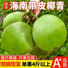 海南椰青新鲜带皮椰子9个装现摘椰子汁孕妇大果批发包邮去皮椰青