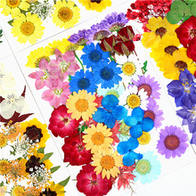 �ɻ�diy�����滨�˱����ϰ�diy�M�ϰ������֙C������Ę�y���~�N��