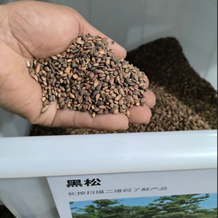 ���ɷN���ձ����ɷN��ͥԺ�o�����Ծ��^�쾰���Gɽ�|���ɘ�N����