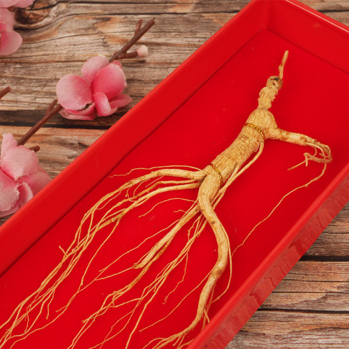 Ginseng Gift Box: 10-12 Year Wild Mountain Ginseng Whole Branch, for Soaking in Wine or Cooking Soup, Dry Ginseng Manufacturer Wholesale