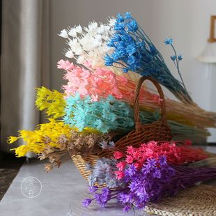 �ɻ��˽ǻ����_�m�ɻ������S�����l�}�Q�˽ǻ�С������@�b���