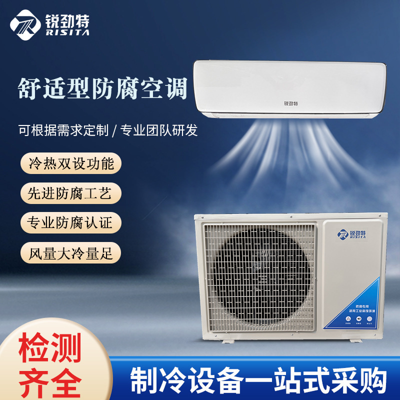 Ruijintech Comfortable Anti-Corrosion Air Conditioner Rfg2-5Hdscr Industrial Anti-Corrosion Air Conditioner Wall-Mounted Air Conditioner Cooling and Heating Type