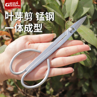 ��ʽ�͹�֦ѿ��65�i��m����������֦������ѿ��֦�޼��������l