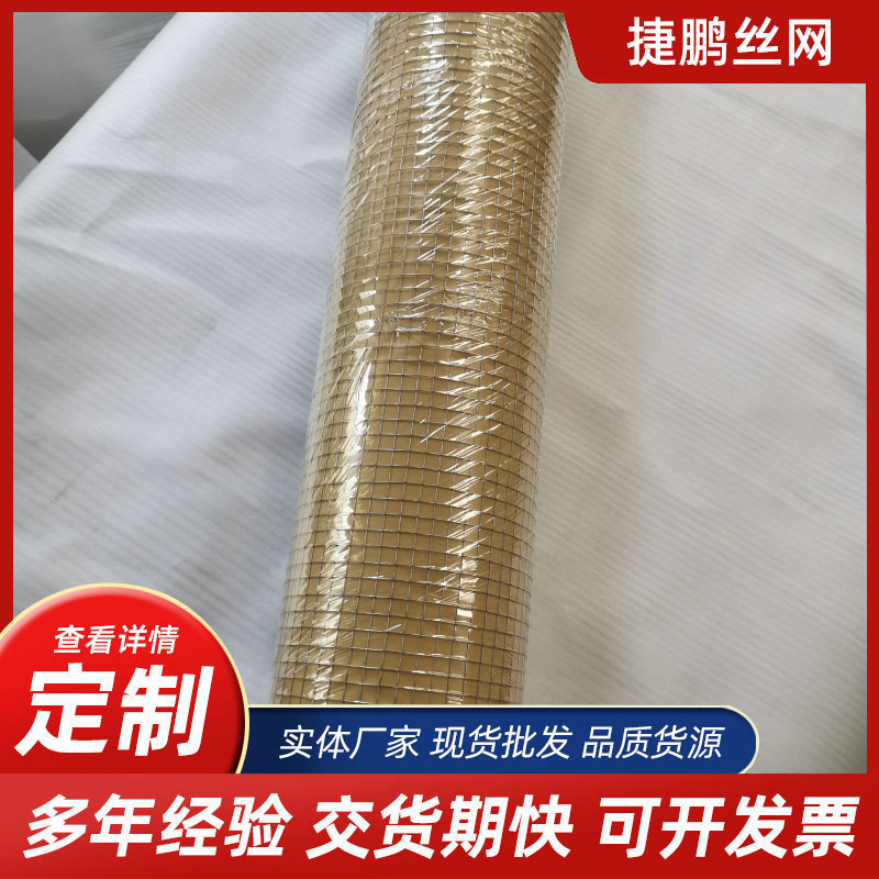 镀锌铁丝网养鸡养殖铁丝网加粗钢丝网防护防鼠网片铁网格隔离网