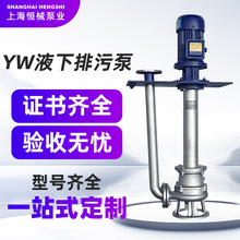 恒械液下排污泵不锈钢耐酸碱立式泵泥浆双管无堵塞化工泵污水泵