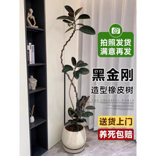 Ƥڽ;GֲԿ͏d҃k~ļ^~ֲ՚