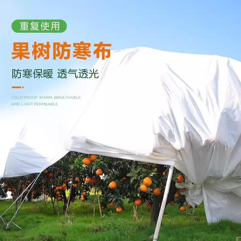 加厚果树脆子李樱桃防雨布防寒布柑橘橙树防水保暖防霜防雨保温布