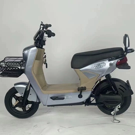 电动自行车;电动摩托车;电动三轮车