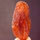 Xinjiang specialty red fragrant princess raisins extra large natural fragrant princess Wang Chao large particles new products clean-free dried fruit 500g times