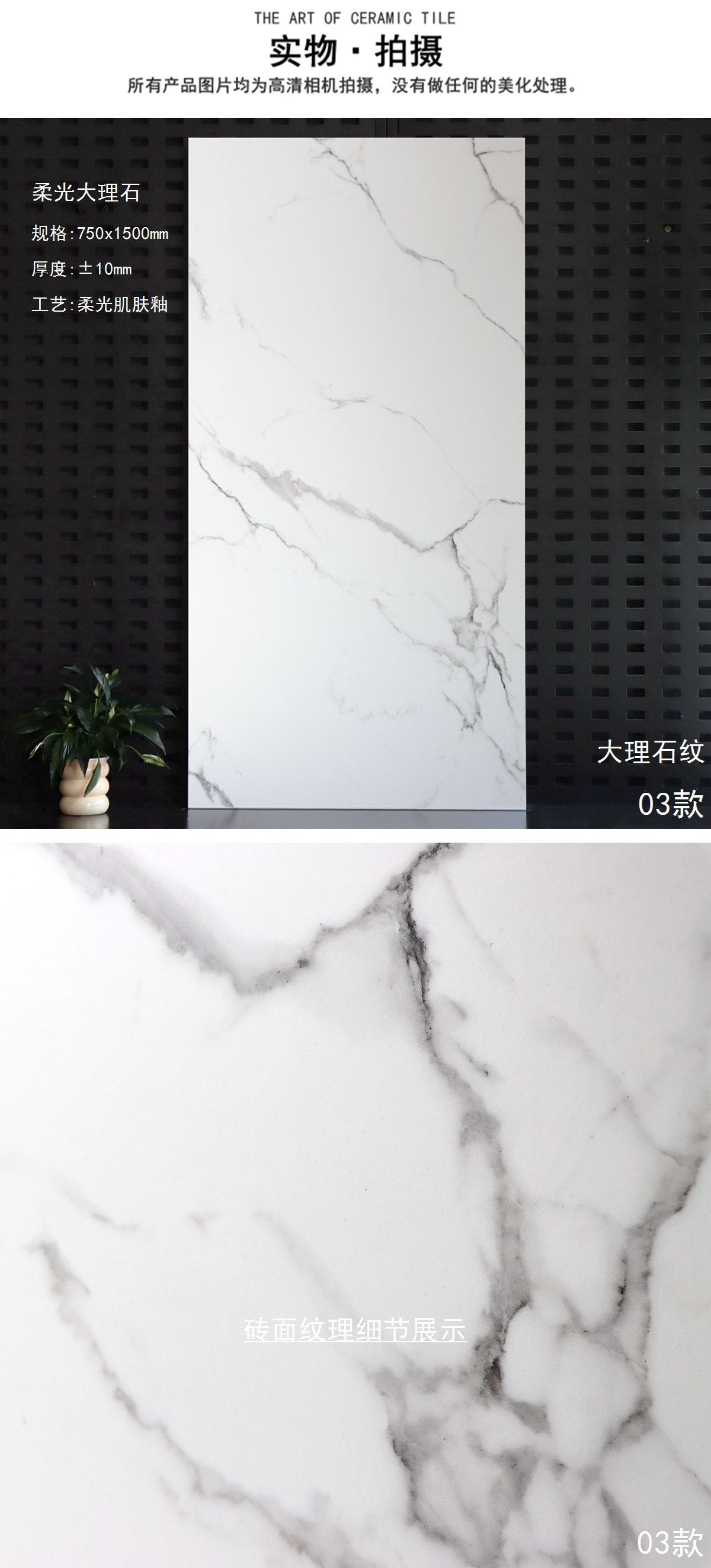 3-AD 1509 (1)_副本.jpg