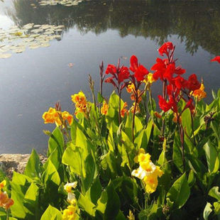 ���˽��N�����Ե��Ի���ͥԺ�G�����˽���������_��