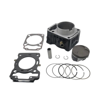 Gpr250Rapr250-Rapr250-S Cylinder – Cylinder and parts