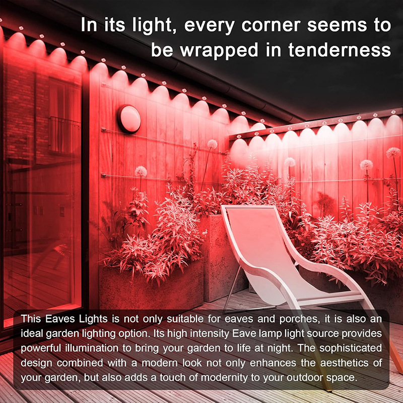 81gVuX4yZlL._AC_SL1500_