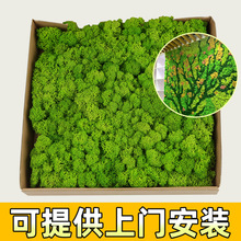 ����̦�\Ƭ�����Z¹̦�\ֲ��ǰ̨�b�DIY΢���^֧�����氲�b