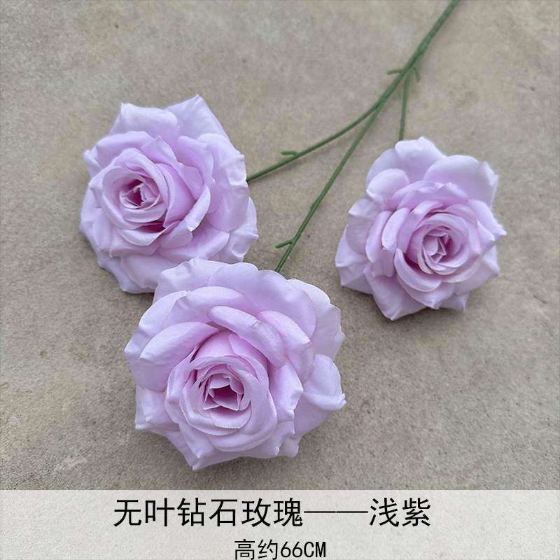 Rosa de diamante ligeramente violeta