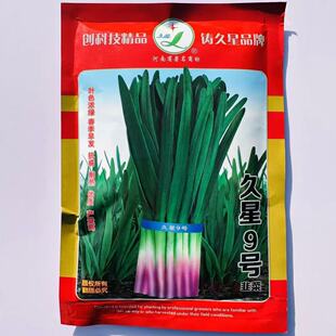 ����9̖�t���²˷N���~Ƭ����ʺ�Ʒ�|���~���s1������ζ��