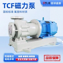 TCF无泄漏衬氟磁力泵