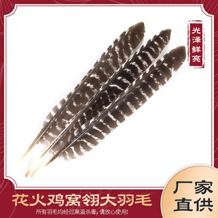 ��ë�����uë25-35cmë�����õ���ë�����u�C�����ë��z�q