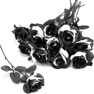 ���R�d�ڰ�õ����滨��֧�ٻ��f�}�������Ɍ��b���Y�Ĕz����