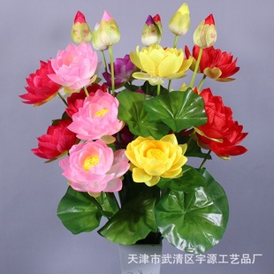 �S�����l�����@��ˮ����@�L�Ҿ��b���˯ɏ���ٻ���֦����ɻ�