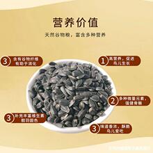 生油葵黑珍珠小瓜子葵花子鹦鹉鸟食仓鼠零食鸟粮饲料鸽粮一件五斤