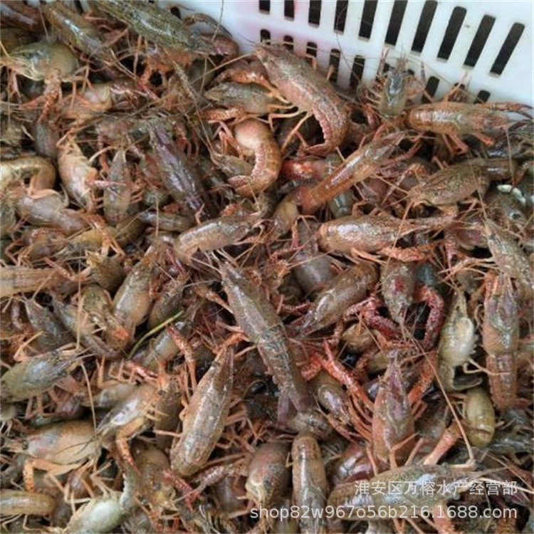 7e702dd18135f5b333cf0568c61ab6