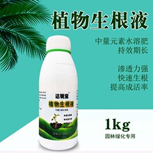 �������Һ ֲ��ͨ�������I�BҺ����Ǥ��N�Ӵ��M���� ֲ��������