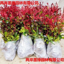 t~ʯt^ľɭŮؑͥԺ̘GhľС