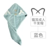 Cat ears adult blue