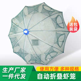 批发鱼护网 自动折叠伞式多边鱼护 钓鱼渔具渔户鱼笼手抛网折叠