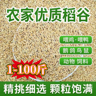 �µ���1��2��50�ﵾ�ӎ�������ι�u�������Z���B�}����������l