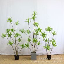 ����Gֲ�ٺ��񱱚Wins�L���ֲ�������҃ȿ͏d�����b٘�[��