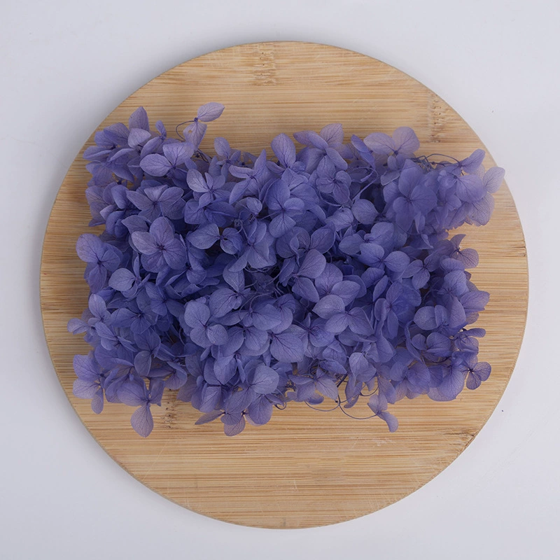 Вечный цветок Сухоцветная коробка Анна Гранди Hydrangea посыпанные лепестки цветов для лица свадьбы оформление Цветочный стиль