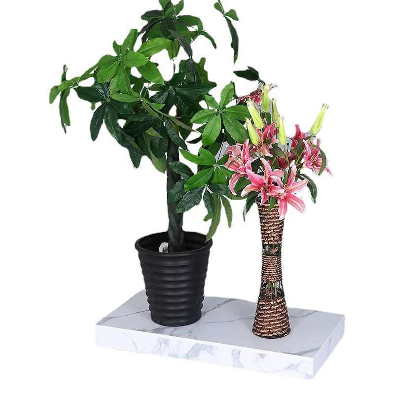 Expositor de pie rectangular para escaparate de tienda de ropa, plataforma para modelos, base con pedal para transmisión en vivo, venta al por mayor