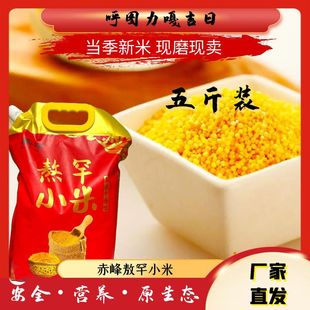 С���SС�׳���SС��2025�������׬Fĥ�F���F�l�S�����Q�ڰ��b