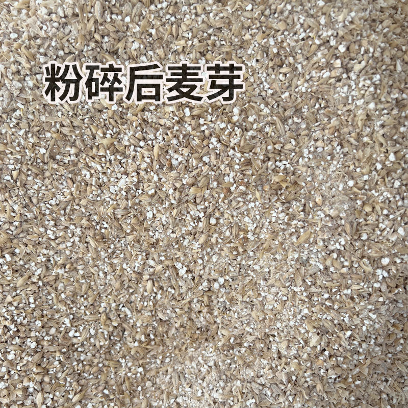 Trituradora de Malta, Trituradora de Malta Especial para Cerveza Artesanal, Accesorios Eléctricos para Equipos de Cerveza, Producto Excelente