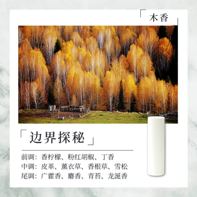 Replacement Core 10.5*38mm, Compatible: Car Perfume Aromatherapy - exploring-the-boundaries-10538mm