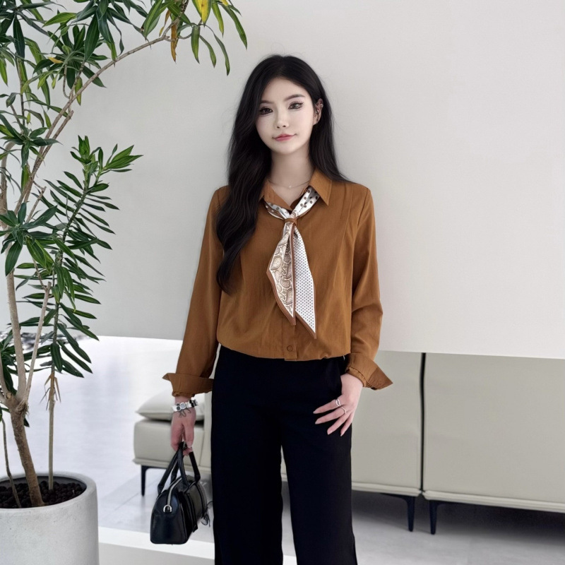 爆款女装2025秋季新款韩版时尚长袖衬衫女设计感小众宽松休闲上衣|undefined