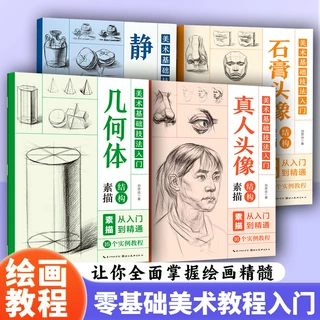 美术基础技法入门静物结构素描正版画画入门技法速写临摹本画册书
