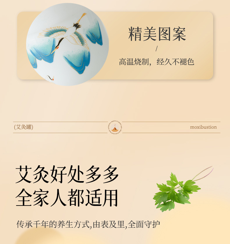 Ceramic Moxibustion Jar Gift Set Portable White Porcelain Cup with Moxa Sticks for Meridian Warming preparation