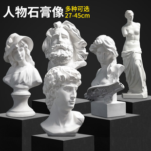 David Plaster Portrait Geometry Venus Marseille Agrichen Woman Portrait Apollo Large Art Teaching