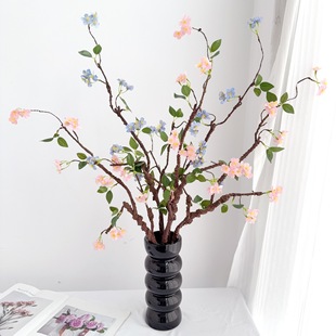 ���滨�l��֦�����ͺ��Ļ���֦÷��֦�U����ʽ�Ҿ��b��ٶ��N��